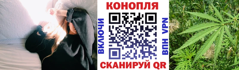 Канабис конопля  Купить  Владикавказ 